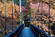 自然豊かな秋の京都を歩く紅葉の京都一周トレイル ハイライト＆愛宕山登拝 4日間