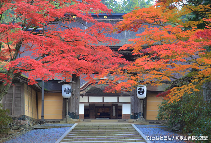 歩かずに行く熊野古道 紀伊山地の聖地巡礼 伊勢神宮から高野山へ 西遊旅行の添乗員同行ツアー 147号 歩かずに行く熊野古道 紀伊山地の聖地巡礼 伊勢神宮から高野山へ 西遊旅行の添乗員同行ツアー 147号