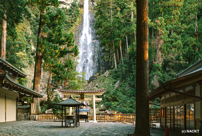 聖なる那智の滝・原生林「神秘ウォーク」と 水と大地の南紀熊野