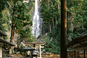 聖なる那智の滝・原生林「神秘ウォーク」と水と大地の南紀熊野ジオパーク