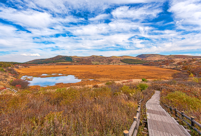 霧ヶ峰・美ヶ原 中央分水嶺トレイル 完全踏破と王ヶ頭ホテル｜西遊旅行の添乗員同行ツアー(147号)