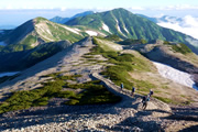 北アルプス花の縦走路を行く　大雪渓から登る白馬岳・雪倉岳・朝日岳