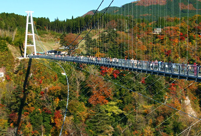 紅葉の九州大横断 秋の雲仙 阿蘇 九重 耶馬渓を巡り四国最西端へ 西遊旅行の添乗員同行ツアー 147号