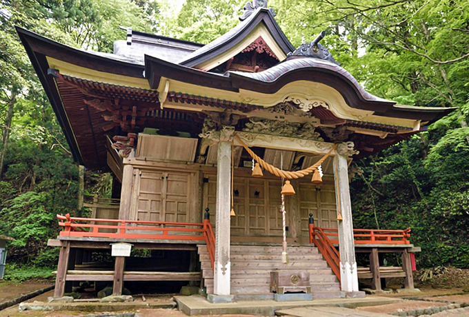 秋の大台ヶ原と吉野山 大和の歴史街道をゆく 西遊旅行の添乗員同行ツアー 147号