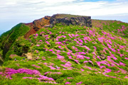 春の九州スペシャル ～縦断編～ 花咲く九重連山から名峰6座に登り桜島へ