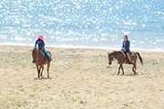 日本最西端･与那国島ホーストレッキングと西表島の自然を遊ぶ