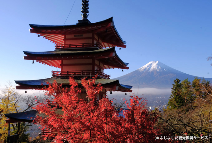 日本の絶景 紅葉と富士を撮る 西遊旅行の添乗員同行ツアー 147号