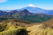 早春登山　沼津アルプスと箱根外輪山縦走