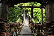 春の四国　日本三大秘境・祖谷のかずら橋と碧き清流仁淀川を歩く