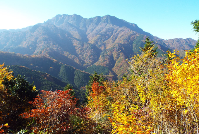 秋の四国の絶景を歩く 祖谷の3つのかずら橋と紺碧の仁淀川 西遊旅行の添乗員同行ツアー 147号
