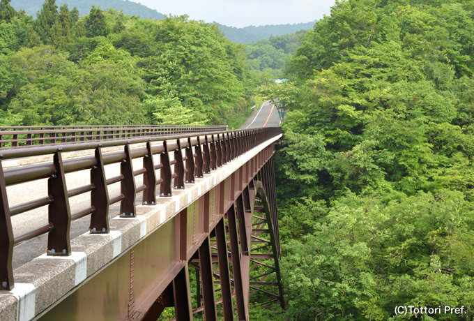 大山ブナの森ウォークと断崖の国宝 三徳山投入堂 西遊旅行の添乗員同行ツアー 147号