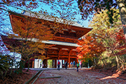 桜の季節に行く！高野山巡礼と吉野山歩き