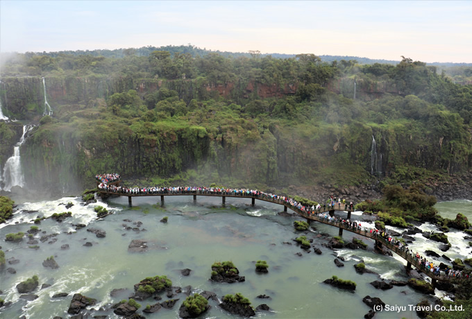 南北ブラジルの大自然を訪ねて 西遊旅行の添乗員同行ツアー 147号