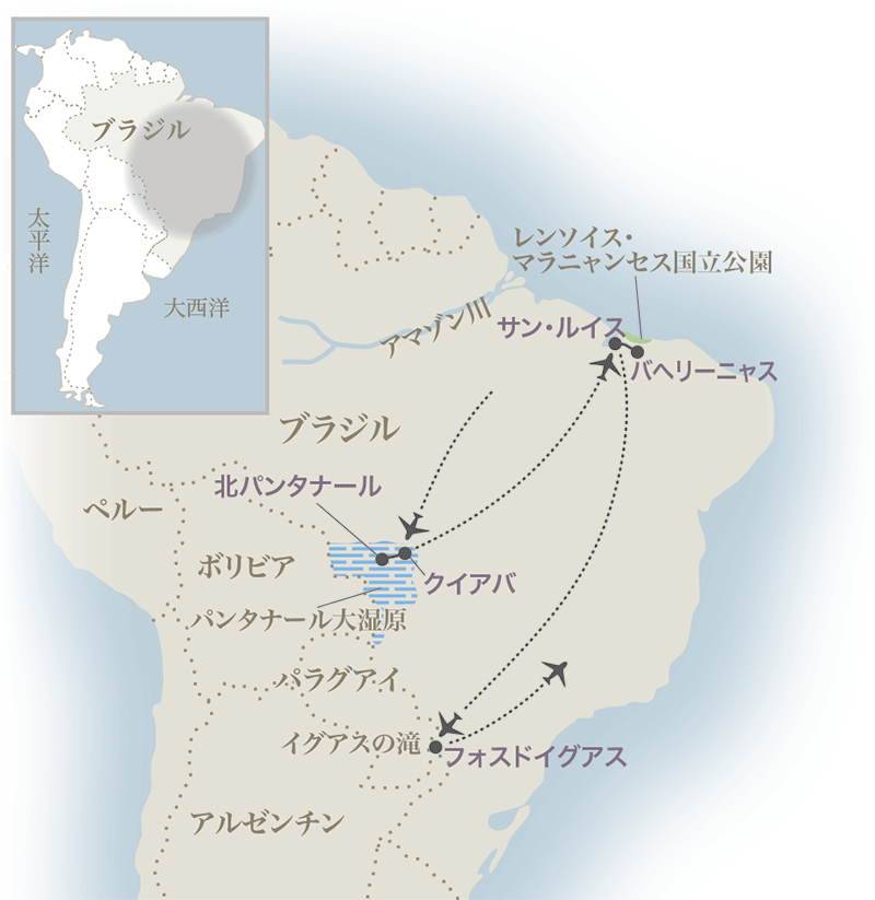 南北ブラジルの大自然を訪ねて 西遊旅行の添乗員同行ツアー 147号