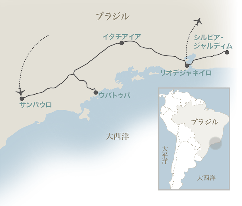 固有種の森 アトランティックフォレストとゴールデンライオンタマリン 西遊旅行の添乗員同行ツアー 146号