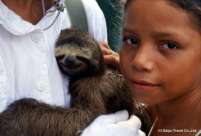 Brazil Travel Book and Ebook
