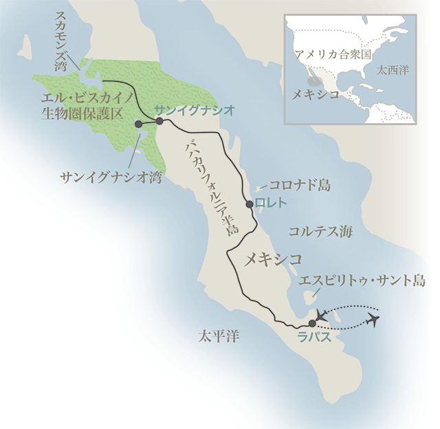 バハカリフォルニア 世界遺産の海でクジラと出会う 西遊旅行の添乗員同行ツアー 145号