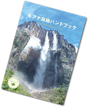 ギアナ高地アドベンチャー 西遊旅行の添乗員同行ツアー 145号