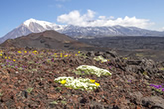 カムチャツカ火山エクスプローラー