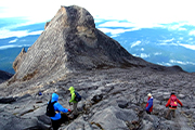 マレーシア最高峰 キナバル山（4,095ｍ）登頂とボルネオ自然紀行