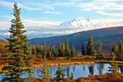 秋のアラスカ 紅葉のデナリ滞在とカトマイ国立公園